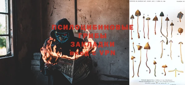 стафф Балабаново