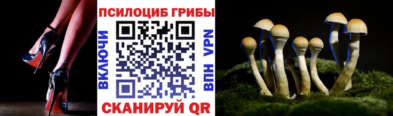 Псилоцибиновые грибы MAGIC MUSHROOMS  hydra ТОР  Ладушкин 